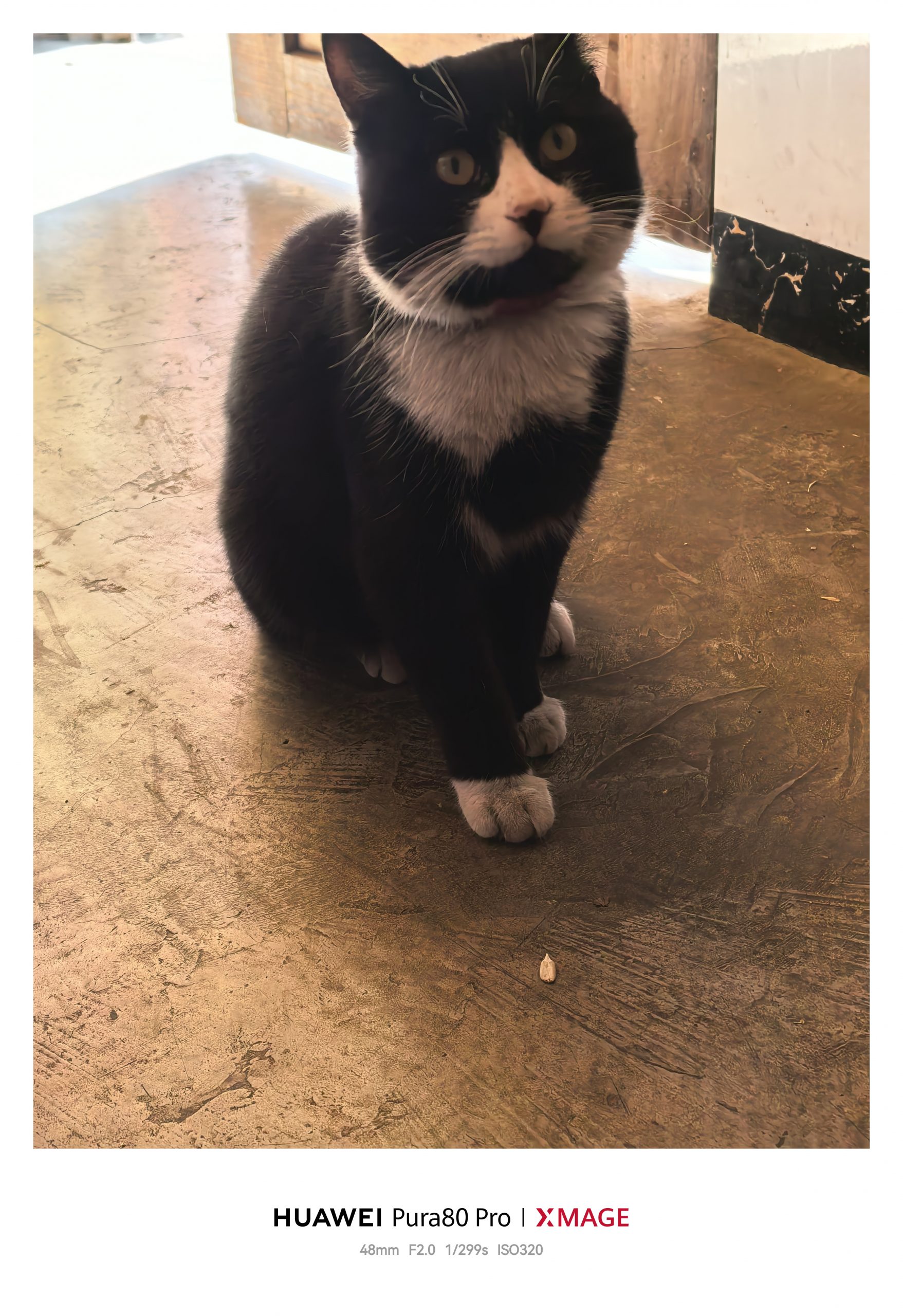 记年后乱笔插图